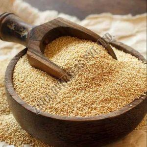 Organic Amaranth Seeds