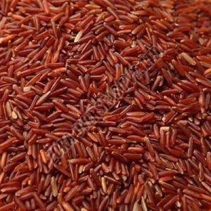 Organic Red Rice