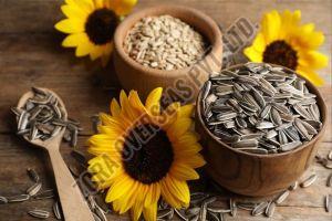 Organic Sunflower Seeds