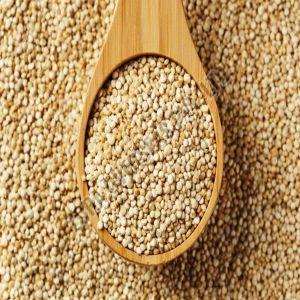 Organic White Quinoa Seeds