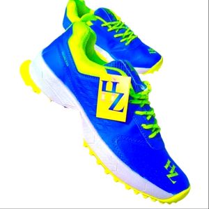 Cricket Shoes