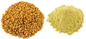 Fenugreek Extract Powder