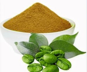 Green Coffee Bean Extract Powder