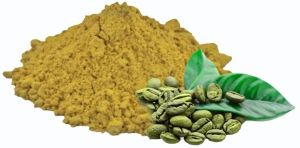 Green Coffee Bean Extract Powder