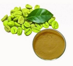 Green Coffee Bean Extract Powder