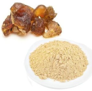 Guggul Extract Powder