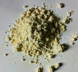 Jackfruit Seed Powder