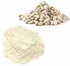 White Kidney Bean Extract Powder