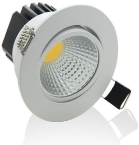 6W COB LED Light