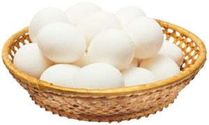 Broiler White Poultry Eggs