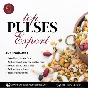 indian pulses