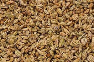 Fresh Carom Seeds