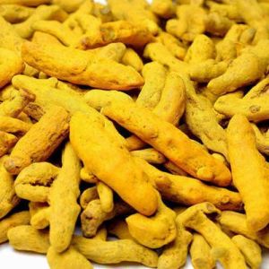 Fresh Dried Turmeric Fingers