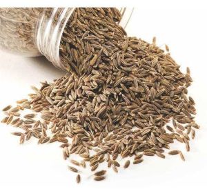Premium Whole Cumin Seeds