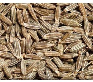Cumin Seeds