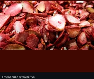 Freeze Dried Strawberry