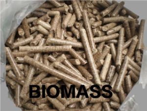 Biomass Pellet