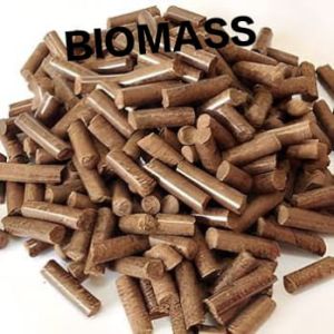 Biomass Pellet