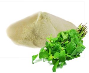 Mint Powder