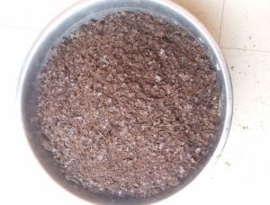 Neem Pedia