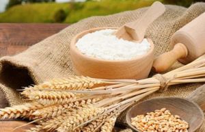 Wheat Flour (Atta/maida)