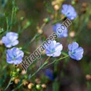 Flaxseed Oil