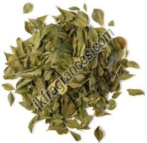 Natural Buchu Oil