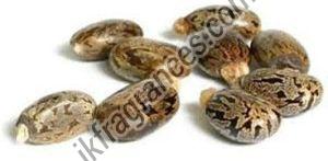 Organic Castor Oil