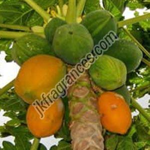Papaya Seed Oil