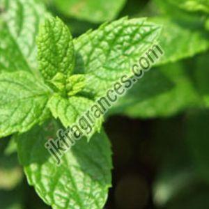Spearmint Oil
