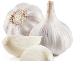 Organic White Garlic