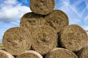 Mesh Dry Grass Cattle Feed Roll