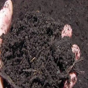 Black Soil Powder