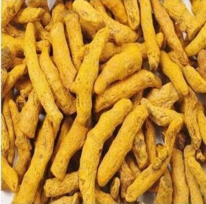 Organic Turmeric Finger