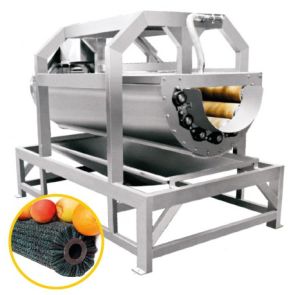 Brush Roller Type Vegetable Washing Machine