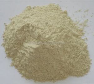 Activated Bleaching Earth Powder
