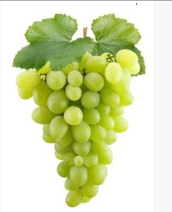 Fresh Grapes