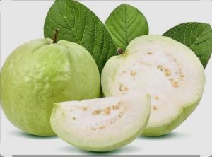 fresh guava