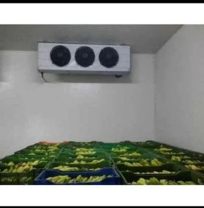 Blue Star Banana Ripening Chamber