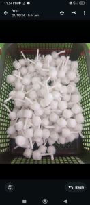 White Round Cotton Wicks