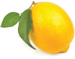 Fresh Lemon