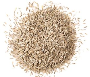 Cumin Seeds