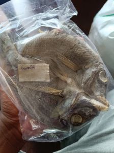 Dried Empower Fish