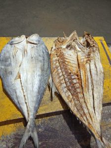 Dried Katta Fish