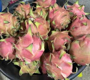 A Grade Dragon Fruit