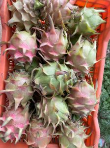 A Grade Dragon Fruit