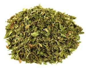 Green Dried Mint Leaves