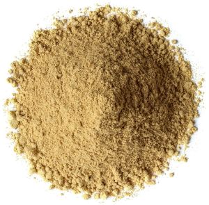 Dehydrated Ginger Powder