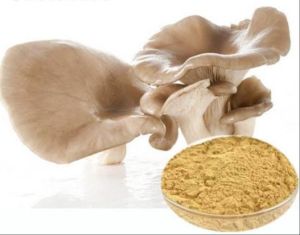Dehydrated Mushroom Powder
