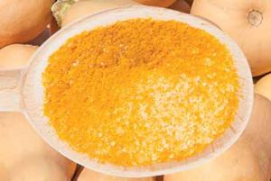 Dehydrated Pumpkin Powder